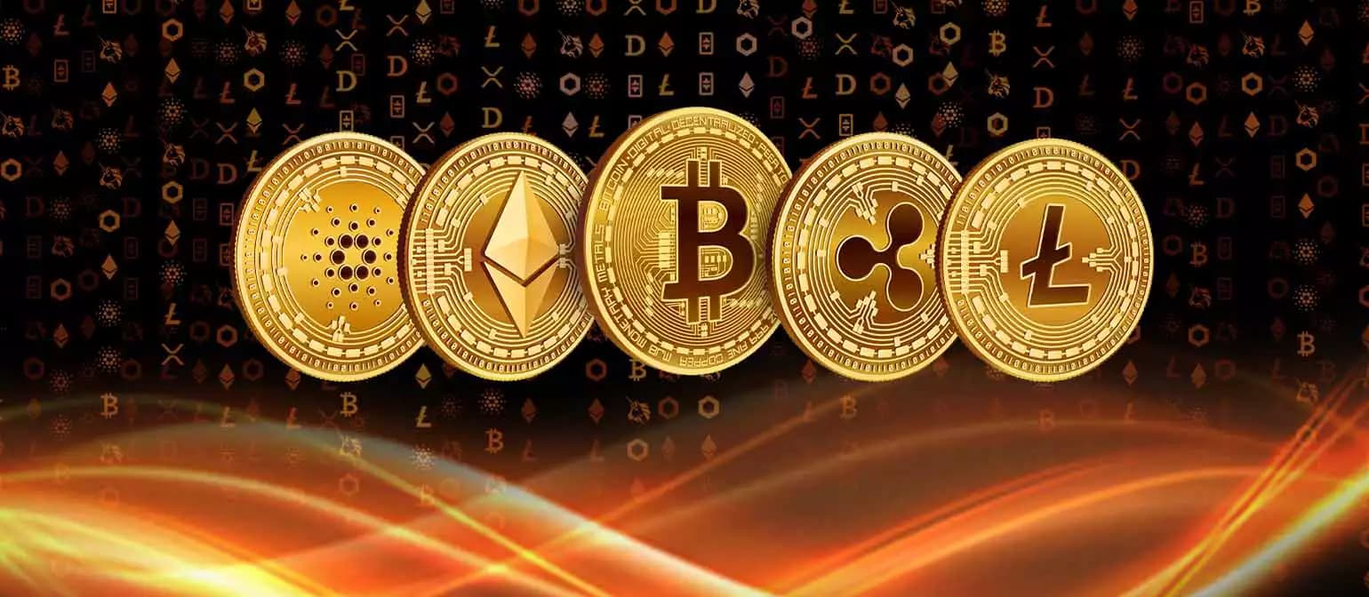 10 fun facts about Crypto you probably didn’t know